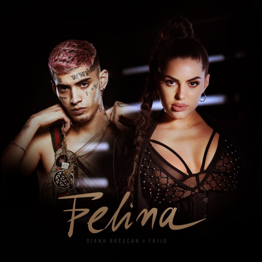Diana Brescan Felina | Hot Sex Picture